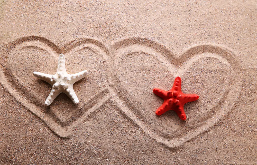 Zwei Seesterne in zwei ineinander gezeichneten Herzen im Sand als Sinnbild für eine Partnerschaft